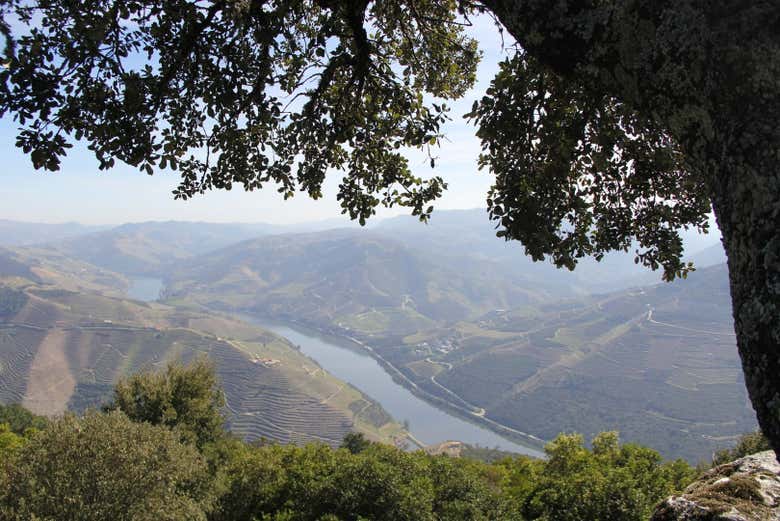 Vale português do rio Douro