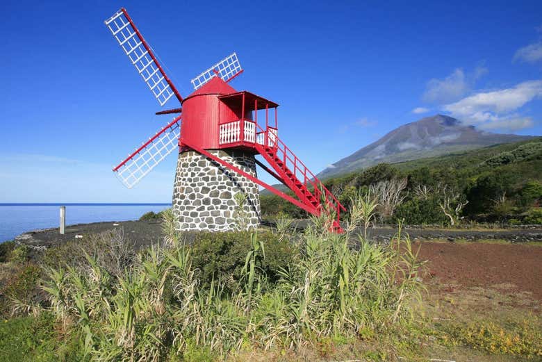 Paisagens da Ilha do Pico