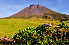 Tour pelos vulcões e lagos do Pico