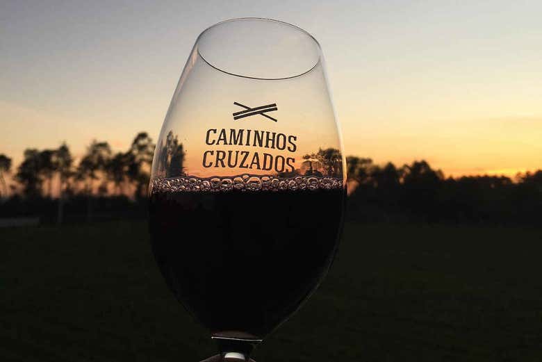 Glass of wine at Caminhos Cruzados Winery