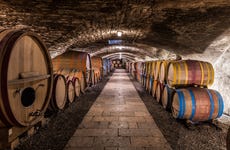 Douro Valley Wine Tasting and Tour