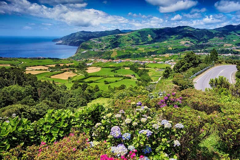 Desfrutando da paisagem