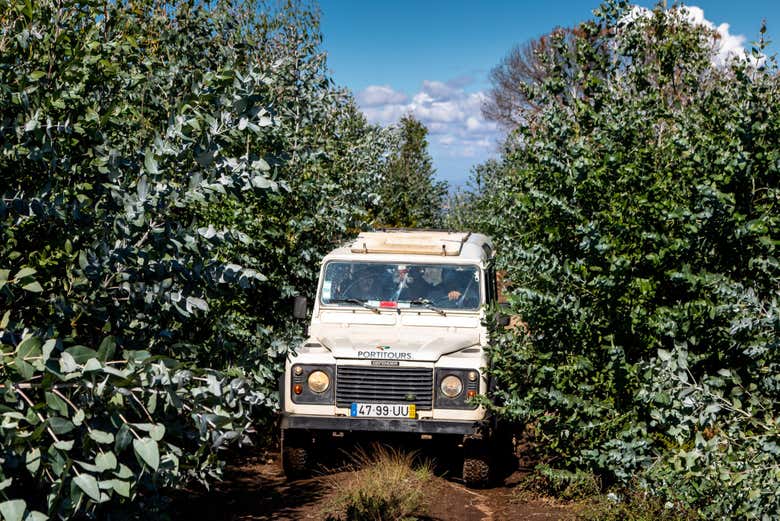 Jeep safari à travers l'est de l'Algarve