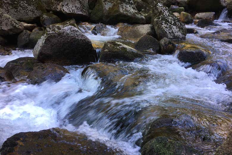 Rivière Vez, Portugal