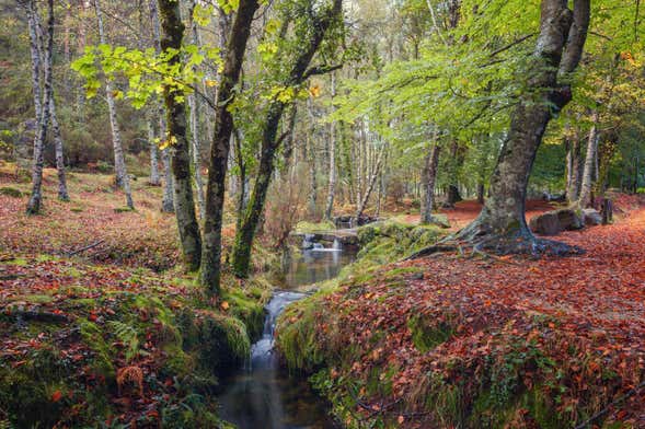 Peneda-Gerês National Park Tour