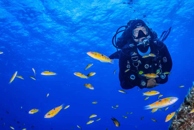 Buceando entre peces de colores, Santa María