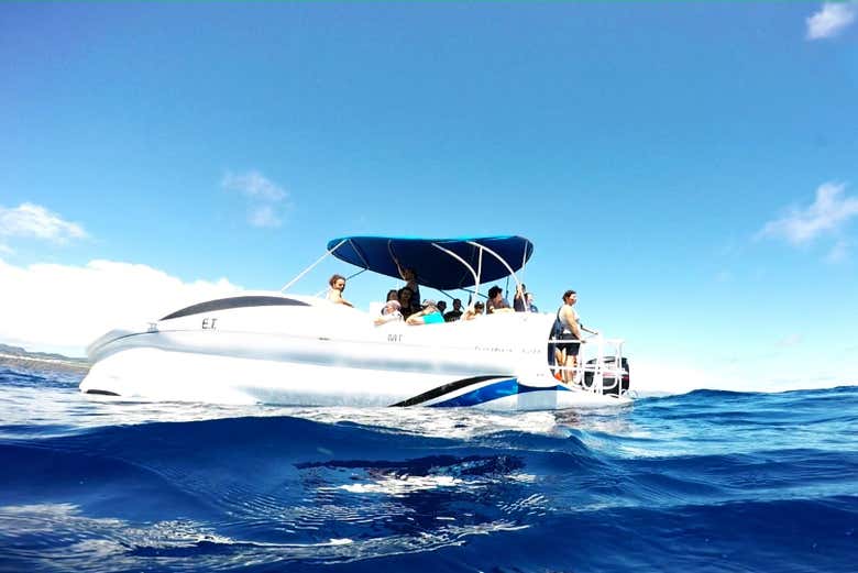 Enjoying the views from the boat