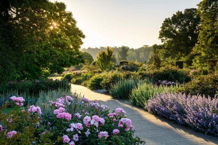 Stroll past beautiful flowers and trees