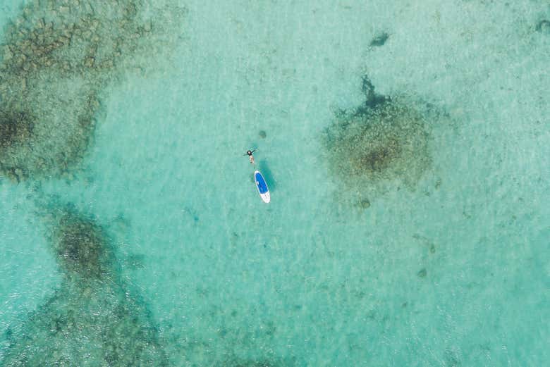 Paddle surf en Boca Chica - Reserva en Civitatis.com México