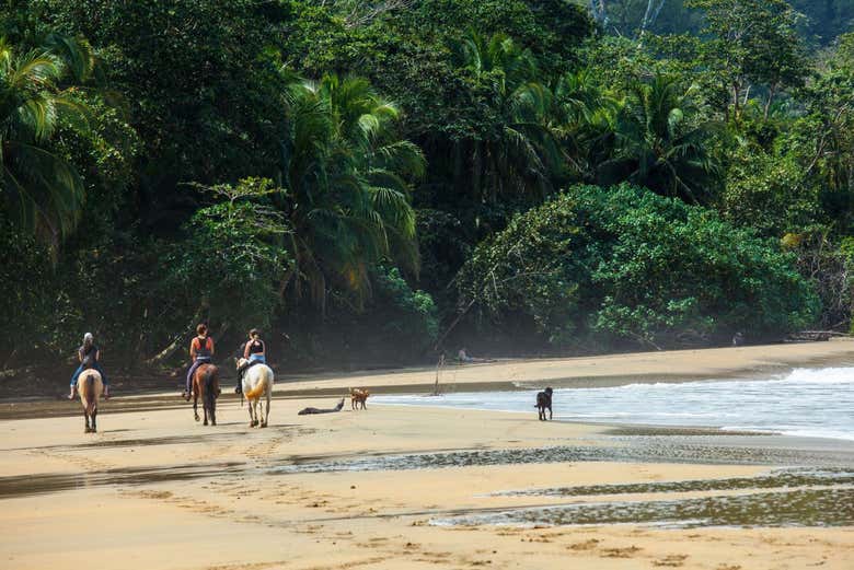 Dsifrutando del paseo a caballo en la playa