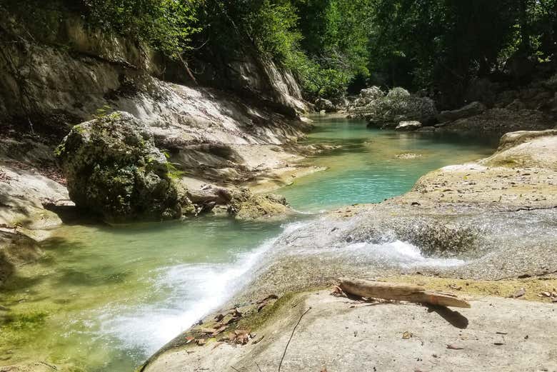 Tour de aventura en el río Cola de Pato desde Moca - Civitatis