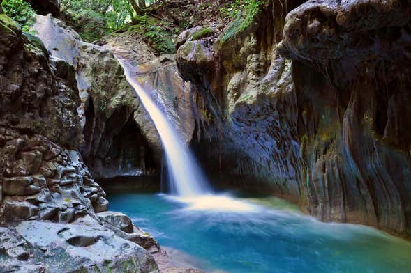 Excursión a los Charcos de Damajagua para cruceros