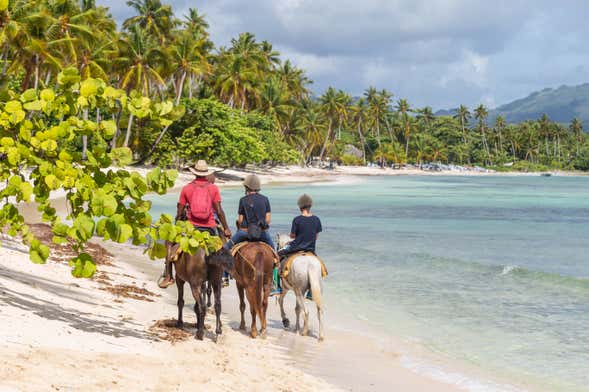 Puerto Plata Beach Horseback Ride