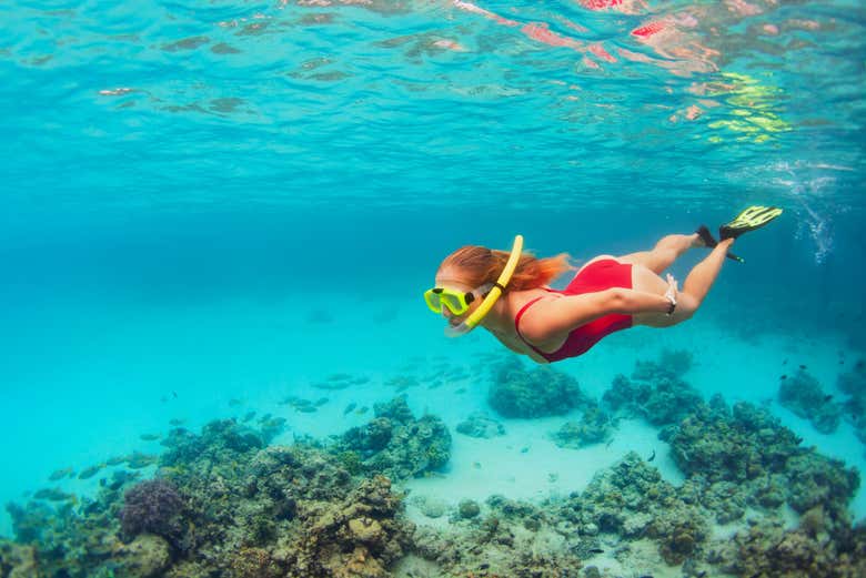 Esplorando i fondali marini di Punta Cana