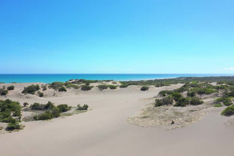 Discovering the dunes