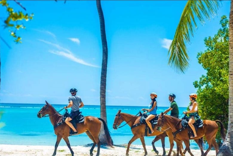 Realizaremos un paseo a caballo junto a la playa