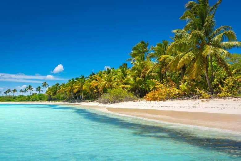 Visit the stunning beaches of Saona Island