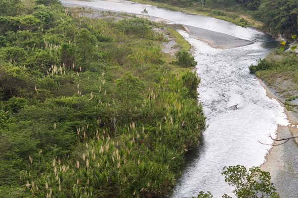 Muchas Aguas River Hiking Tour