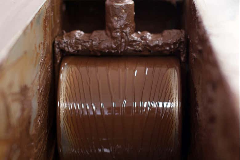 Machine for the processing of cacao