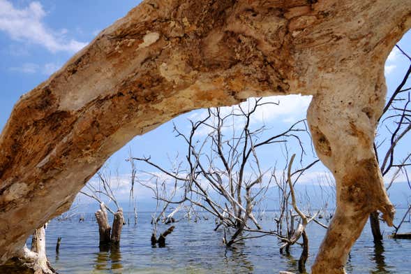 Excursión al lago Enriquillo