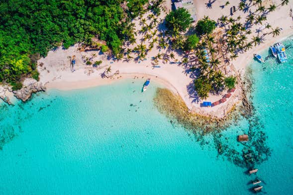 Saona Island Speedboat Day Trip