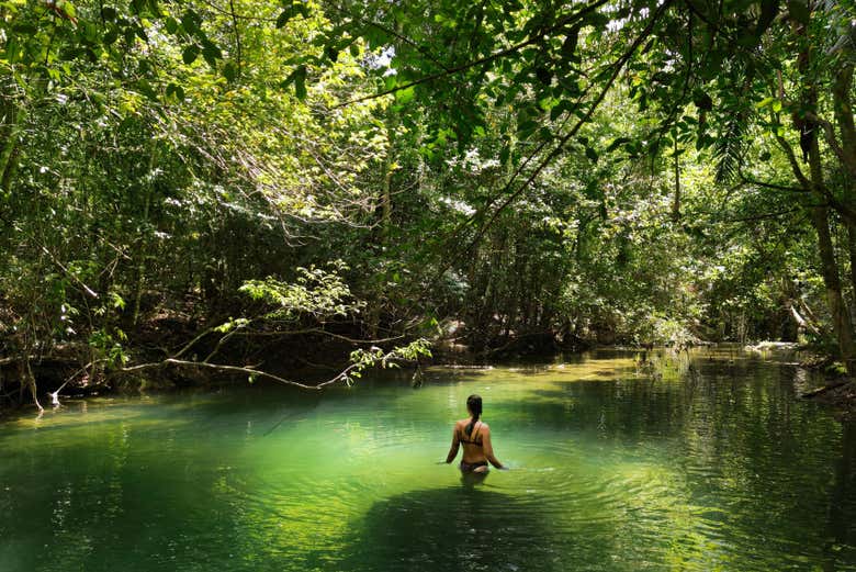 Bañándonos en el cenote