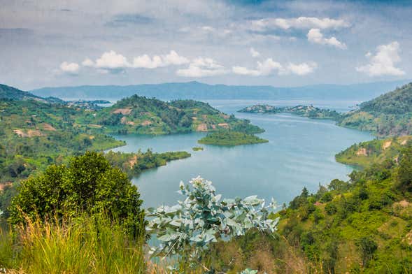 Tour de 7 días por Ruanda