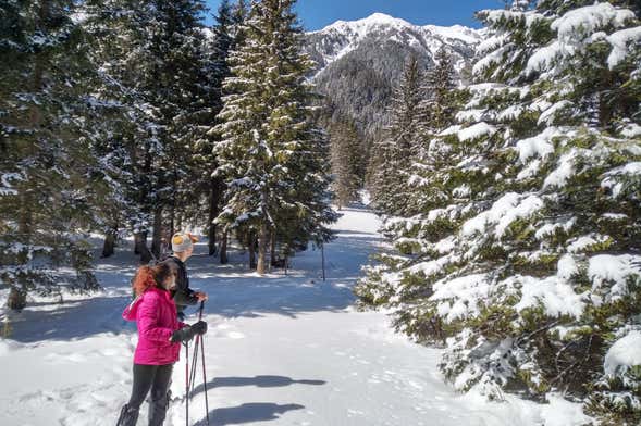 Piatra Craiului National Park Hiking Tour