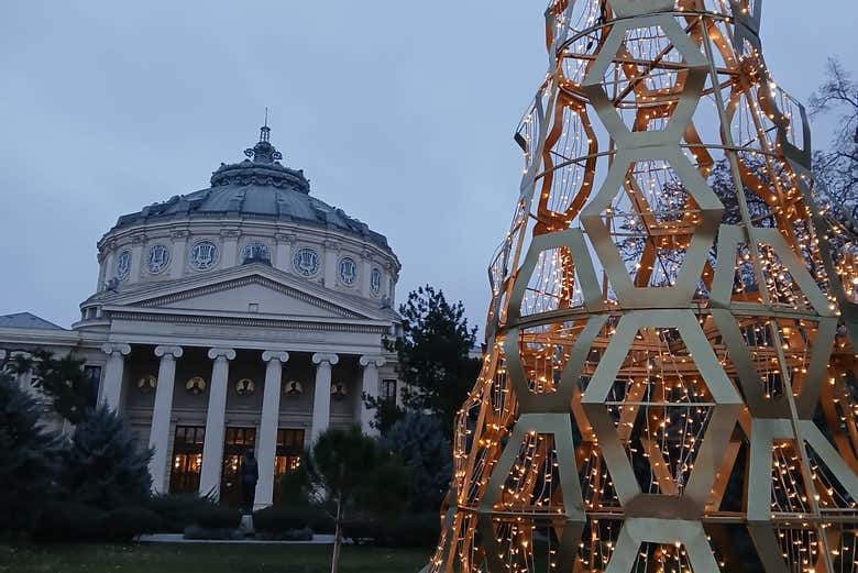 Look at the decorated Christmas trees