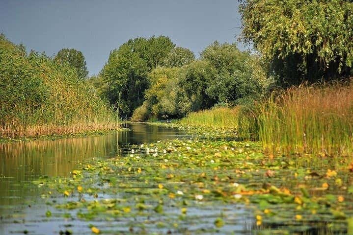 Las tranquilas aguas del Delta del Danubio