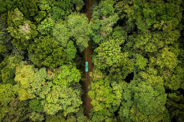 Vista aérea de la vegetación del Parque de aventuras Santa Lucía