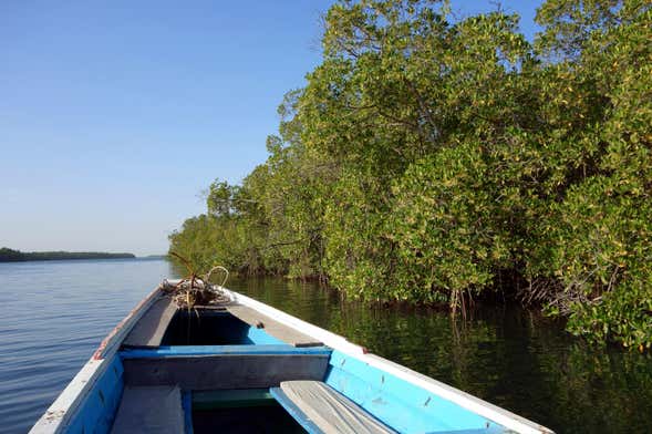 Tour to the Saloum Delta