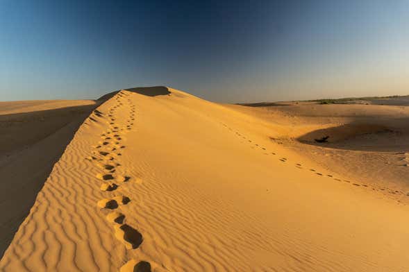 Excursión al desierto de Lompoul