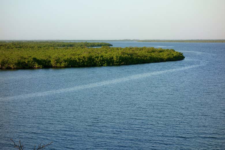 Le delta du Saloum