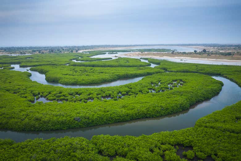 Panorámica del delta del Salum