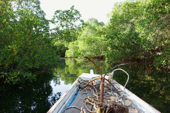 Saloum Delta Private Tour