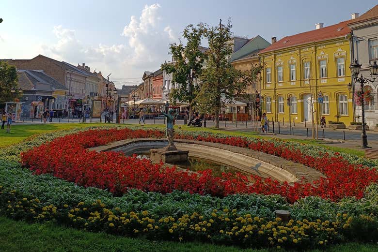 Una plaza decorada con flores en Novi Sad