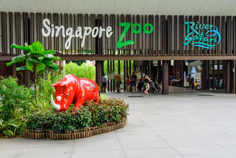 Singapore Zoo Tour - Book Online At Civitatis.com