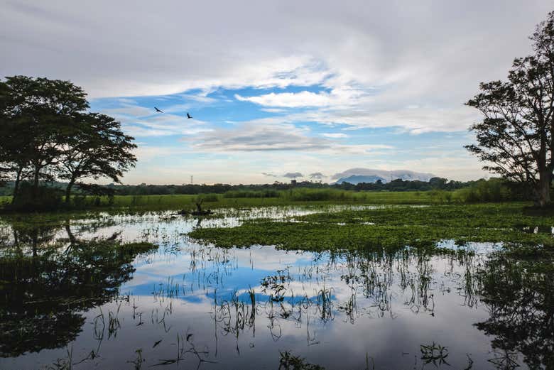 Habarana Lake