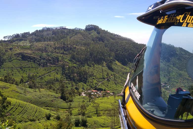 Tea plantations in Haputale