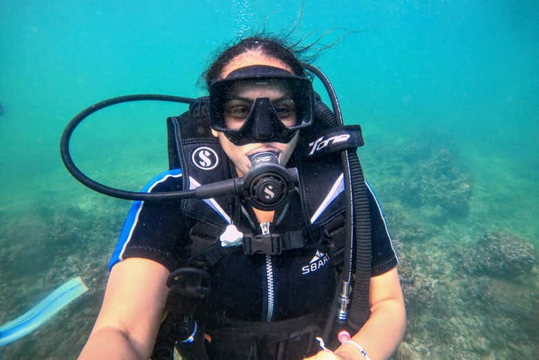 Learn how to scuba dive