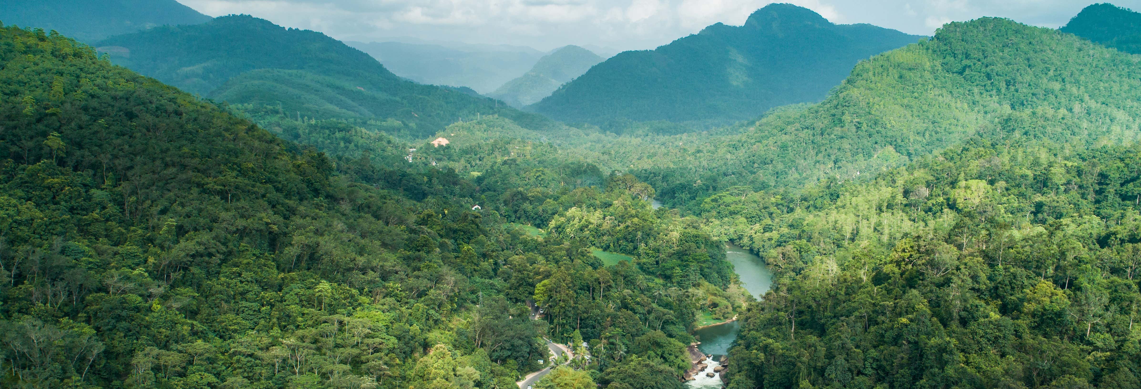 Kitulgala