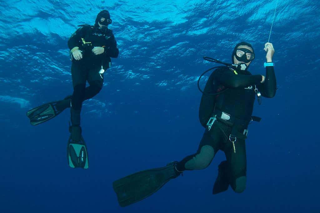 Scuba Diving in Mirissa - Book Online at Civitatis.com