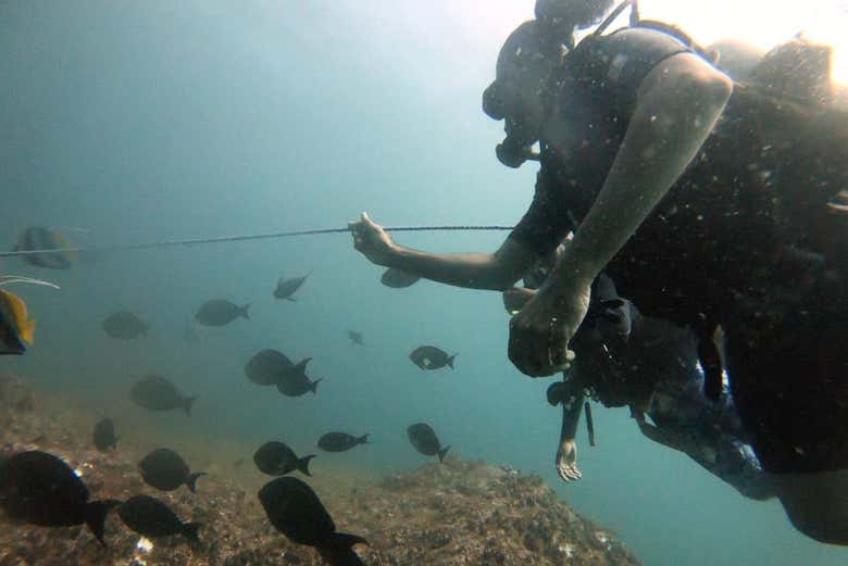 Mergulho em Mirissa