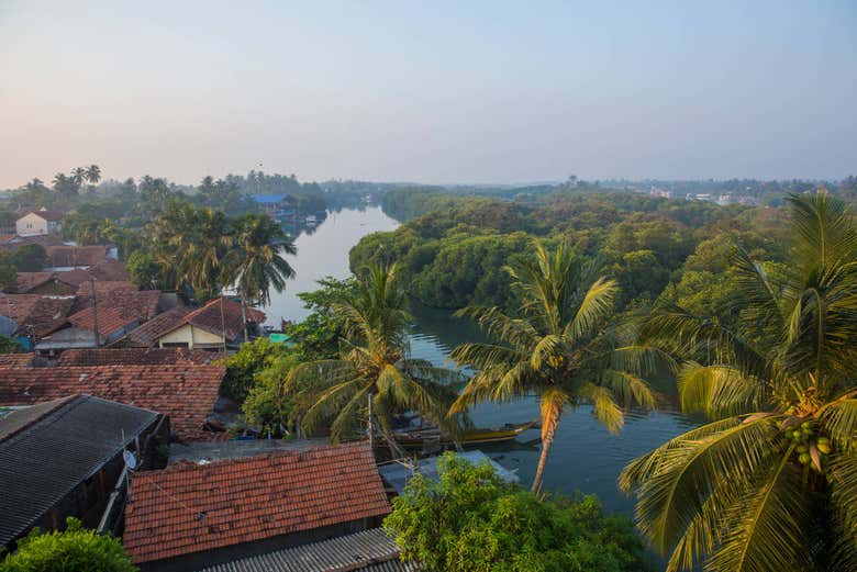 Vue panoramique sur le lagon de Negombo 