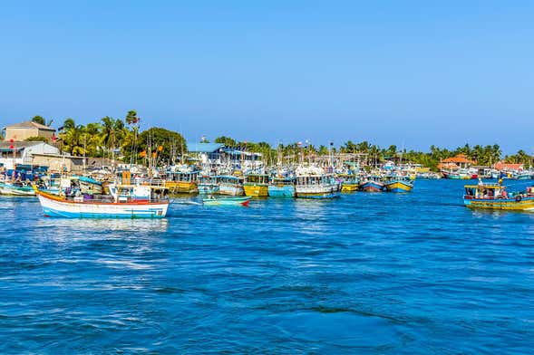 Visite en tuk-tuk à Negombo + Balade en bateau