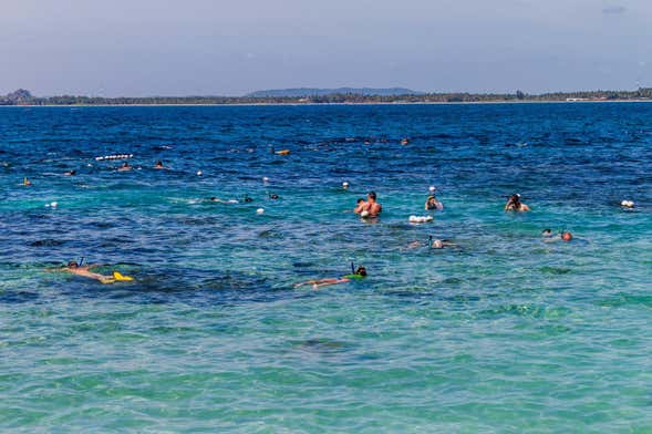 Pigeon Island Snorkelling