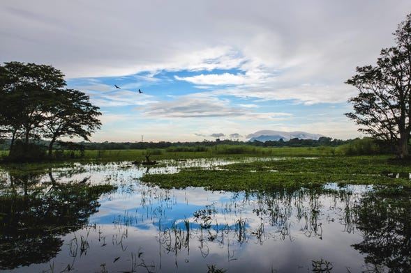 Excursión a Habarana