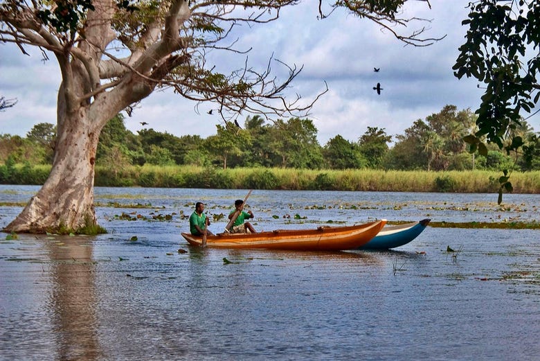 Navegando por el lago Habarana