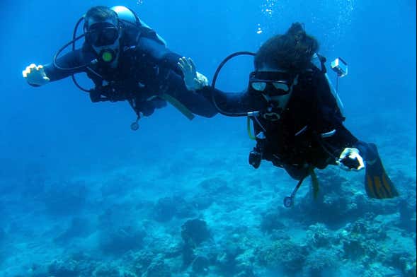 PADI Open Water Diving Course